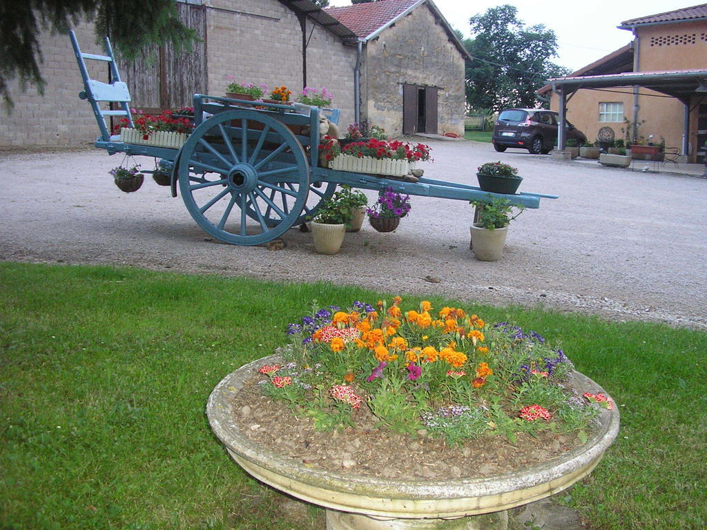Hotel Domaine De La Belliere Villars-les-Dombes Zewnętrze zdjęcie