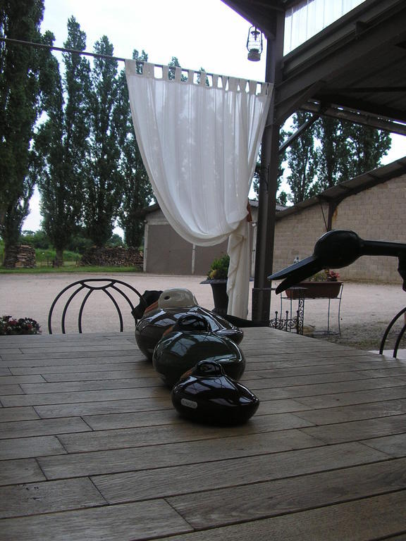 Hotel Domaine De La Belliere Villars-les-Dombes Zewnętrze zdjęcie