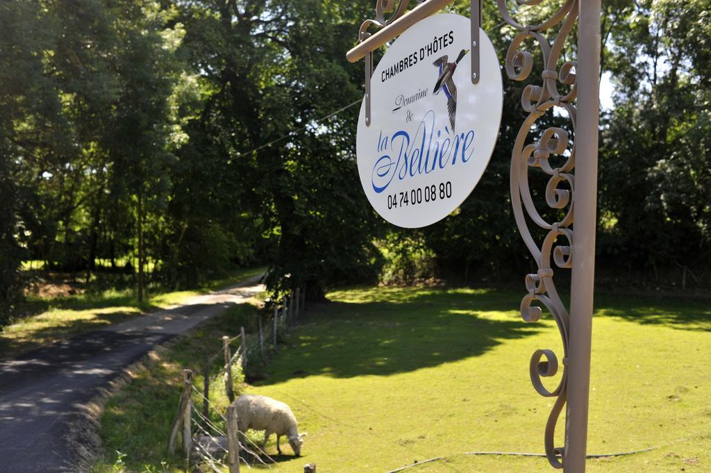 Hotel Domaine De La Belliere Villars-les-Dombes Zewnętrze zdjęcie