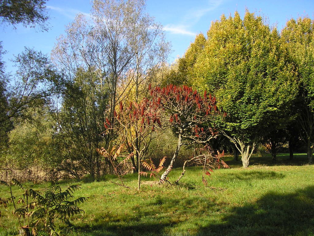 Hotel Domaine De La Belliere Villars-les-Dombes Zewnętrze zdjęcie