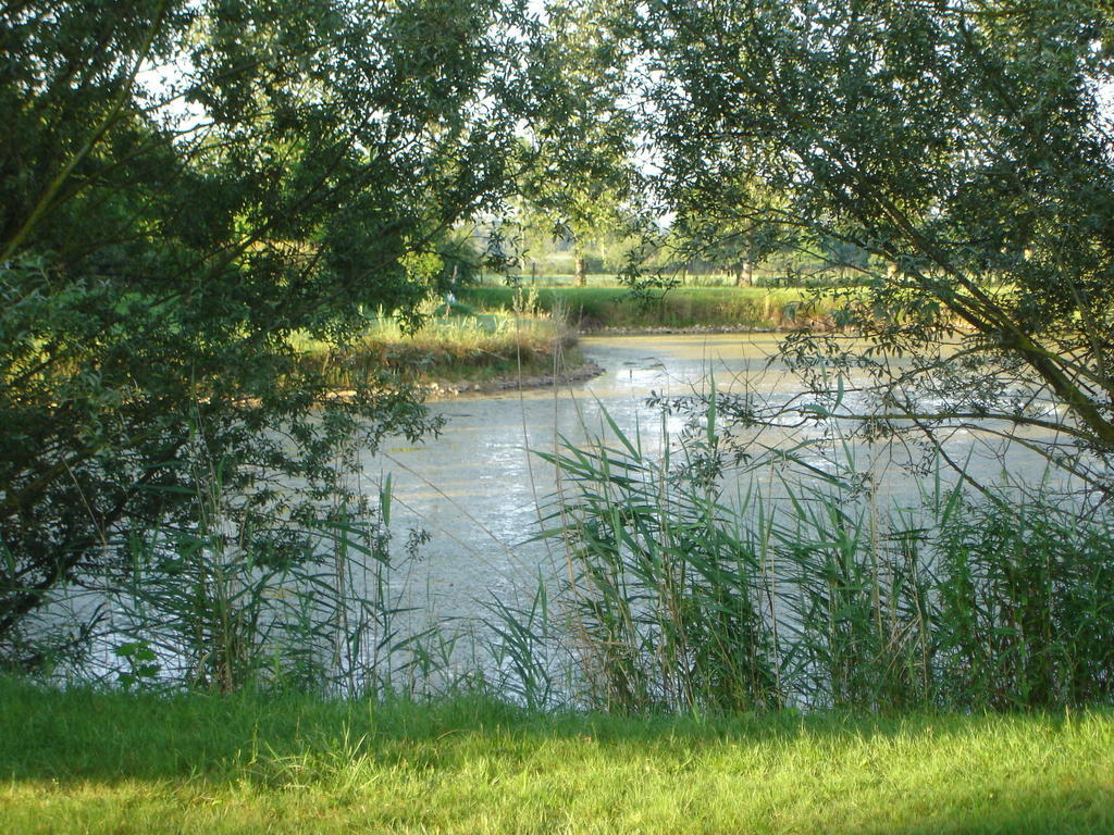 Hotel Domaine De La Belliere Villars-les-Dombes Zewnętrze zdjęcie